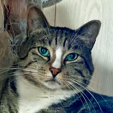 Photo of Sammee