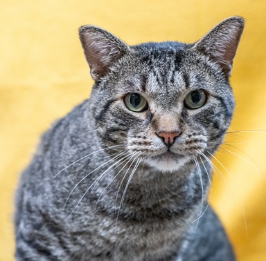 Photo of Ranger