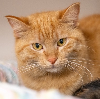 Photo of Greer