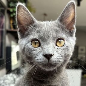 Photo of Bernard