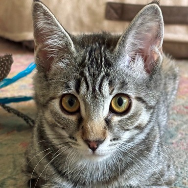 Photo of Bonnie