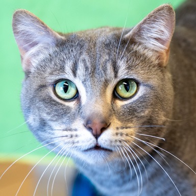 Photo of Petey