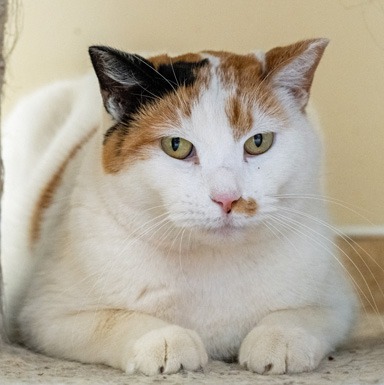 Photo of Dorothy